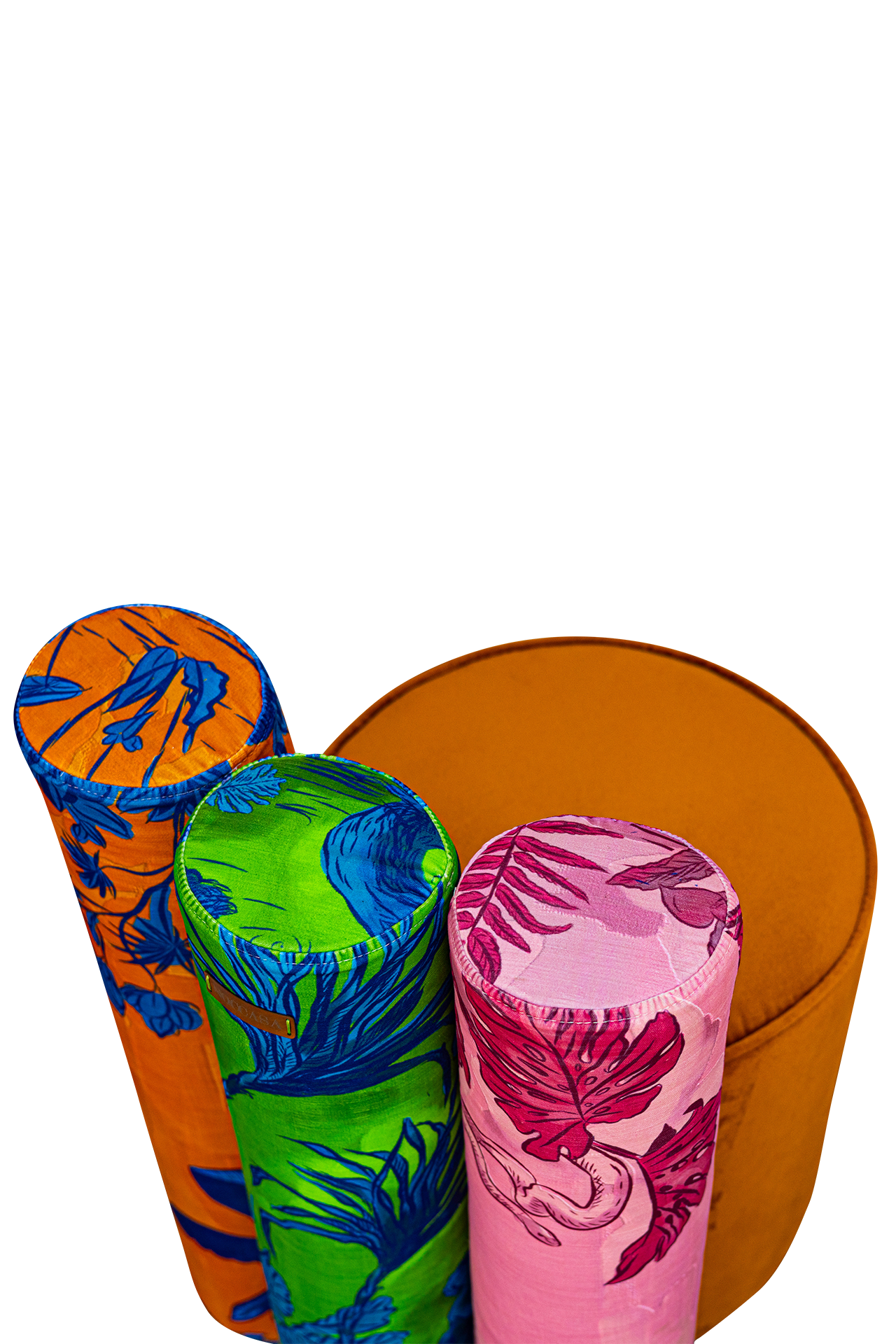 Showcase Image
