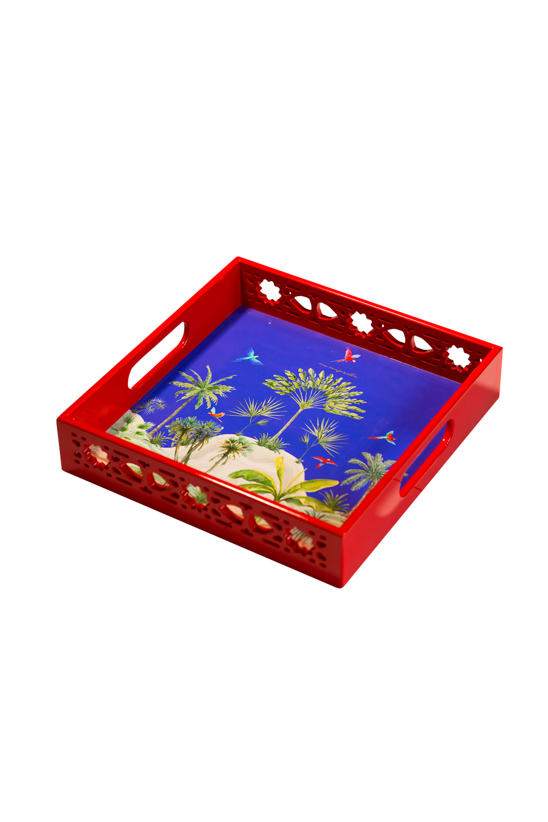 Showcase Image