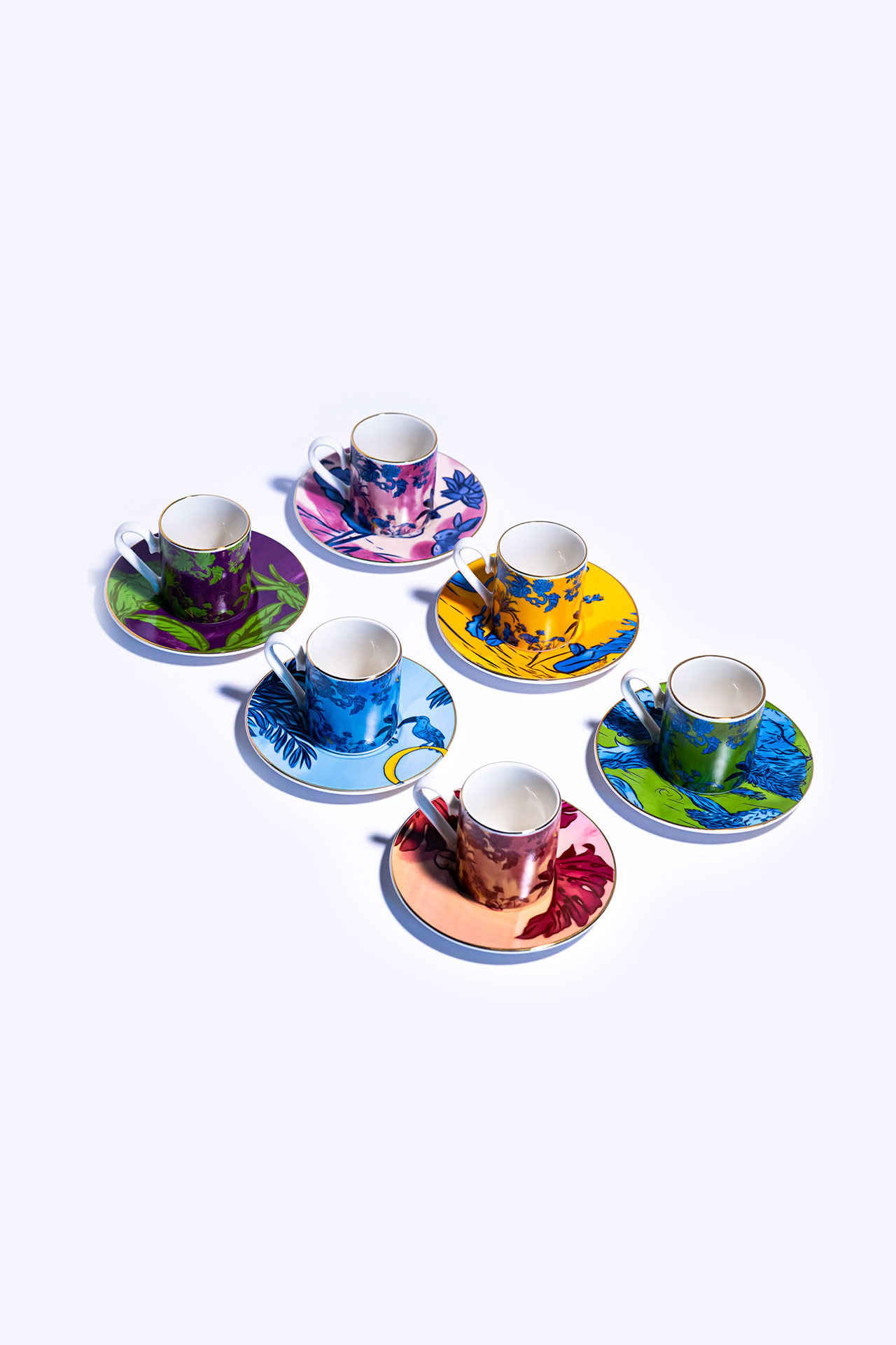 Showcase Image