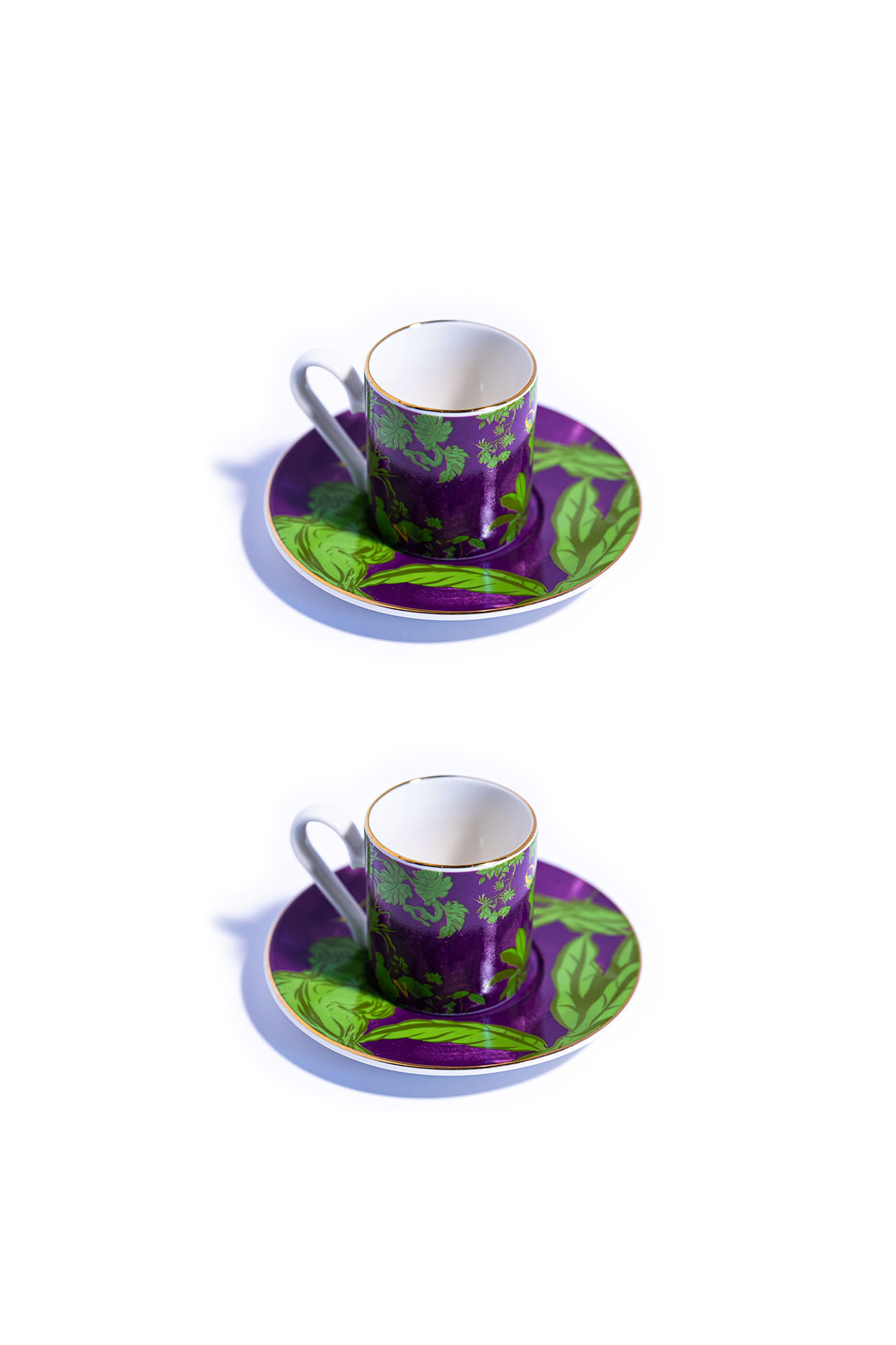 Showcase Image