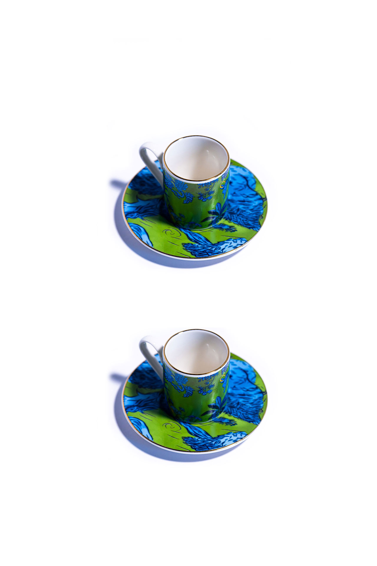 Showcase Image