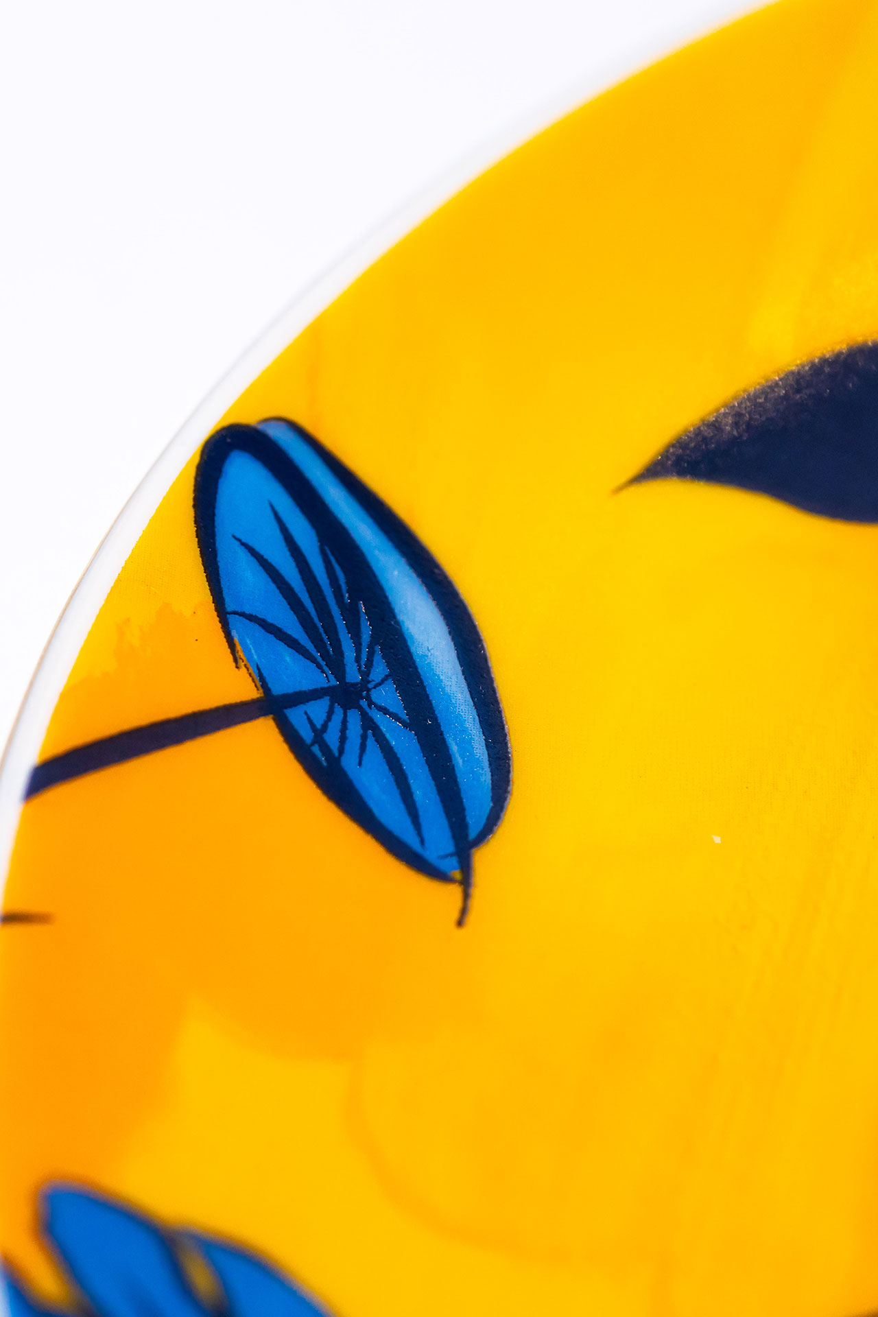 Showcase Image