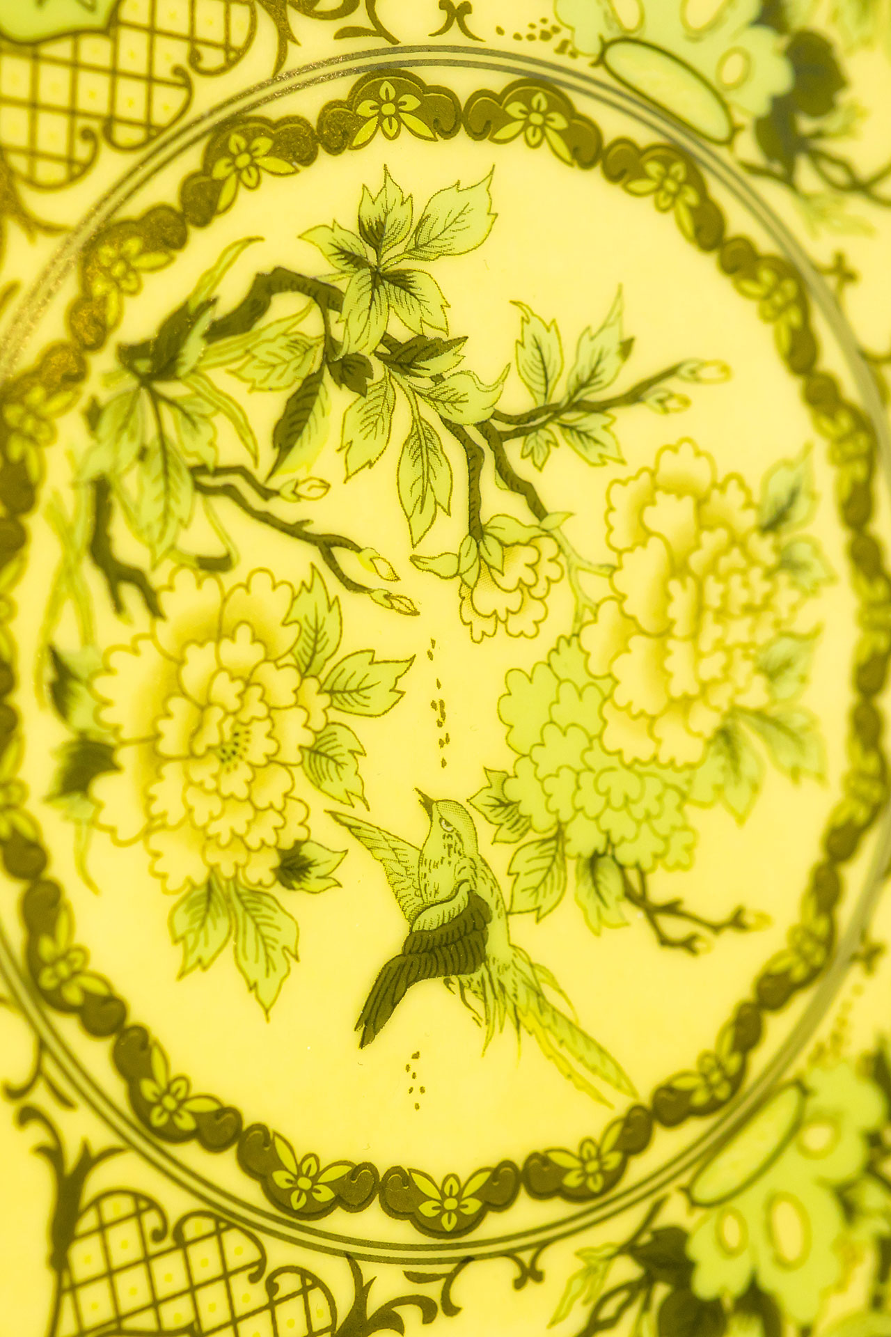 Showcase Image