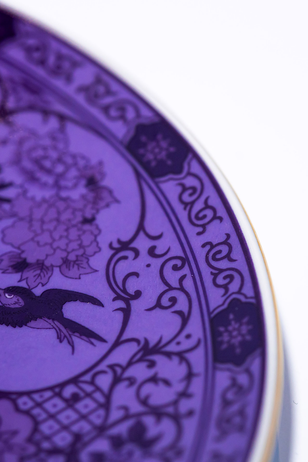 Showcase Image