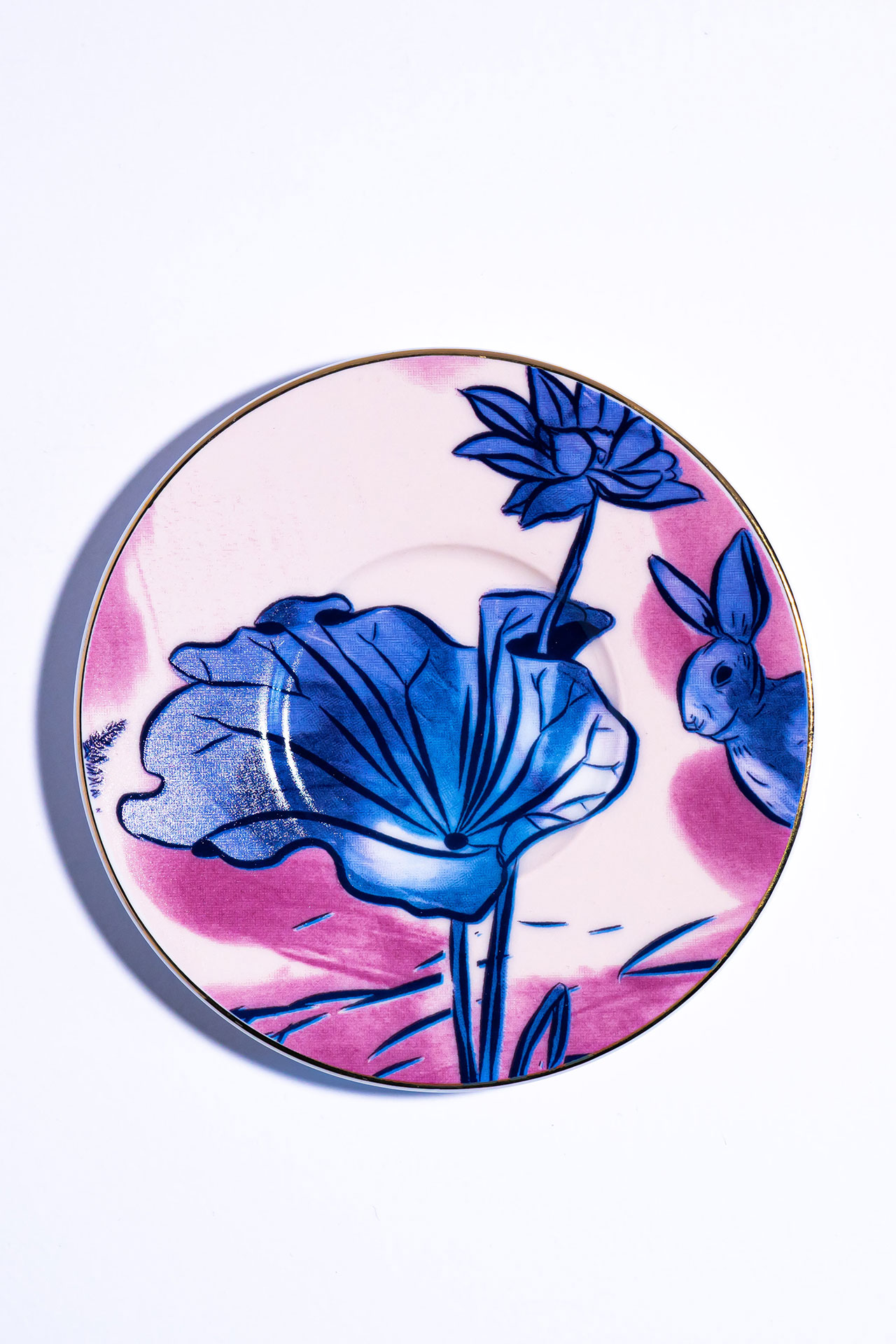 Showcase Image